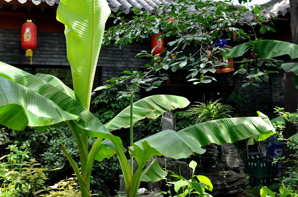 北京 Red Lantern House旅舍 外观 照片